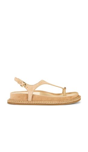 Stefan Gemstone Sandal in . Size 6.5, 7, 7.5, 8, 8.5, 9, 9.5 - Dolce Vita - Modalova