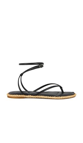 Cove Sandal in . Size 6, 6.5, 7, 7.5, 8, 8.5, 9, 9.5 - Dolce Vita - Modalova