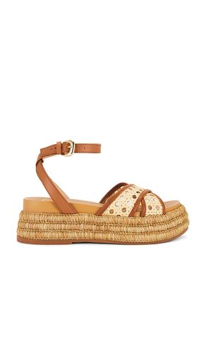 Wriley Sandal in . Size 6, 6.5, 7, 7.5, 8, 8.5, 9, 9.5 - Dolce Vita - Modalova