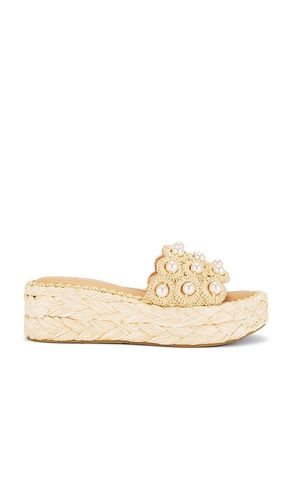 Caper Pearl Sandal in . Size 6.5, 7, 7.5, 8, 9, 9.5 - Dolce Vita - Modalova
