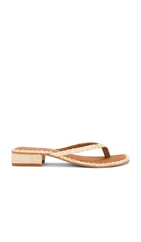 Barty Sandal in . Size 7.5. Also in 8.5 - Dolce Vita - Modalova