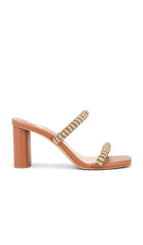 Nolah Mule in . Size 6, 6.5, 7, 7.5, 8, 8.5, 9, 9.5 - Dolce Vita - Modalova