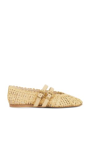 Baylee Sunflower Flat in . Size 6.5, 7, 7.5, 8, 8.5, 9 - Dolce Vita - Modalova