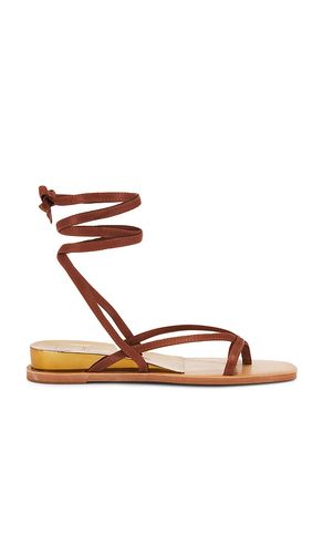 Rudie Sandal in . Size 6.5, 7, 7.5, 8, 8.5, 9 - Dolce Vita - Modalova