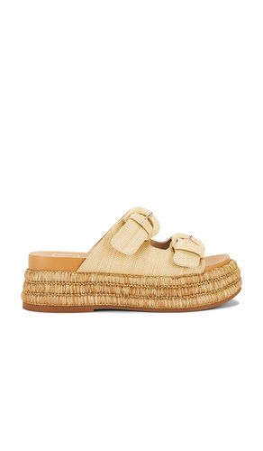 Witny Sandal in . Size 7.5, 8, 8.5, 9, 9.5 - Dolce Vita - Modalova