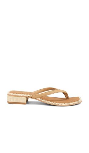 Barty Sandal in . Size 6, 6.5, 8, 8.5 - Dolce Vita - Modalova