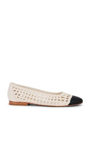 Catia Flat in . Size 8, 8.5, 9 - Dolce Vita - Modalova