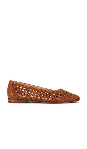 Catia Flat in . Size 6, 7.5, 8, 8.5 - Dolce Vita - Modalova