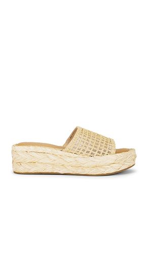 Chavi Mesh Sandal in . Size 6, 6.5, 7.5, 8, 8.5, 9.5 - Dolce Vita - Modalova
