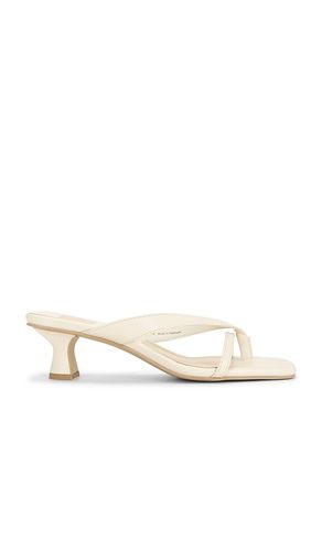 Brevel Sandal in . Size 7. Also in 9, 9.5 - Dolce Vita - Modalova