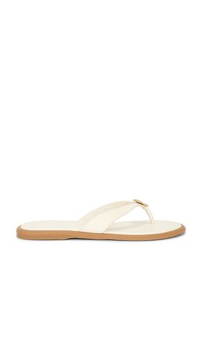 Jaina Sandal in . Size 6.5. Also in 7, 9 - Dolce Vita - Modalova