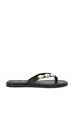Juny Sandal in . Size 6. Also in 6.5, 7, 7.5, 8, 8.5, 9, 9.5 - Dolce Vita - Modalova