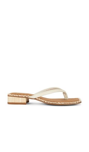 Barty Thong Sandal in . Size 6. Also in 7.5, 8, 8.5, 10 - Dolce Vita - Modalova