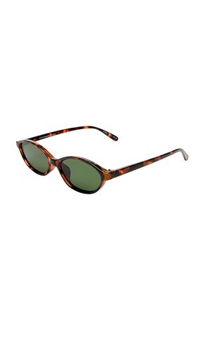 Earthshine sunglasses in color brown size all - AIRE - Modalova
