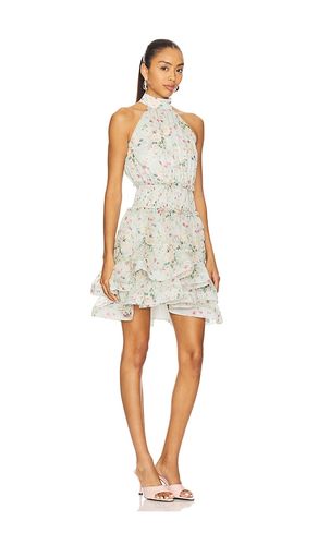 Milena Mini Dress in . Size M. Also in L - ELLIATT - Modalova