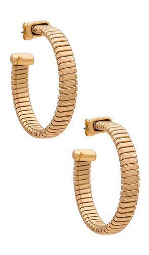 Coil Hoop Earrings in - Ettika - Modalova