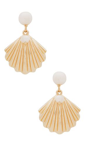 Shell Earring in - Ettika - Modalova