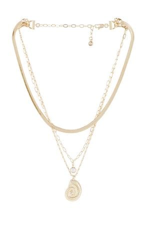 Shell Necklace in - Ettika - Modalova