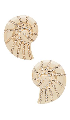 Shell Earring in - Ettika - Modalova