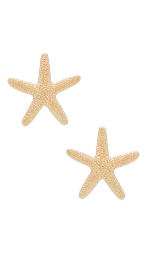 Starfish Earring in - Ettika - Modalova