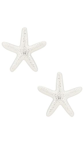 Statement Starfish Stud Earrings in - Ettika - Modalova