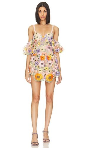 Prato Mini Dress in . Taglia S - For Love & Lemons - Modalova