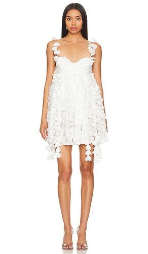 Bellatrix Mini Dress in . Size XS - For Love & Lemons - Modalova