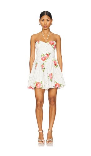 Rosebud Corset Mini Dress in . Size L, M, XL - For Love & Lemons - Modalova