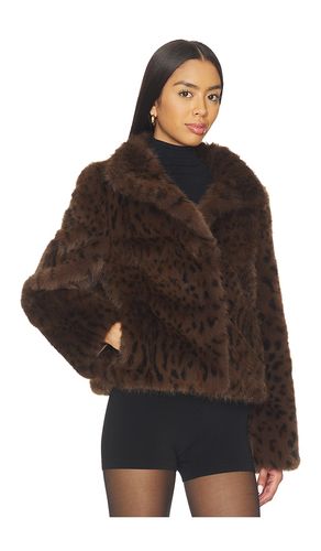 Lexy Leopard Faux Fur Jacket in . Size M. Also in L, XL - Generation Love - Modalova