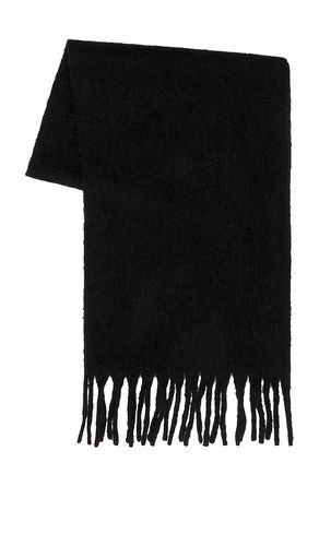 Cozy solid scarf in color size all - Hat Attack - Modalova