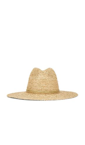 Raffia Braid Continental Fedora Hat in - Hat Attack - Modalova