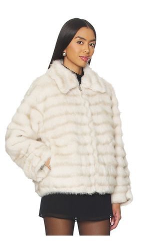 Cairo Coat in . Size M. Also in L, XL - HEARTLOOM - Modalova