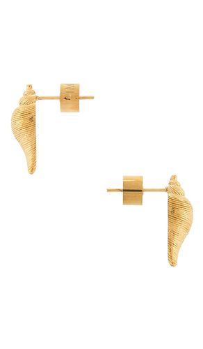 Pendientes luce en color oro metálico talla all - Heaven Mayhem - Modalova
