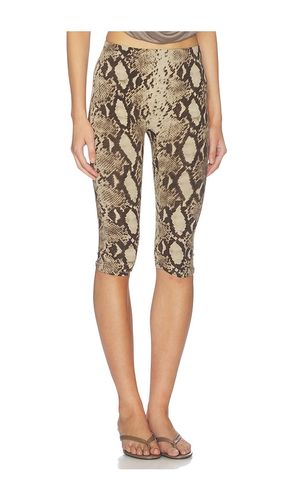 Printed High Waisted Capri Pant in . Size L. Also in M, S - Indah - Modalova