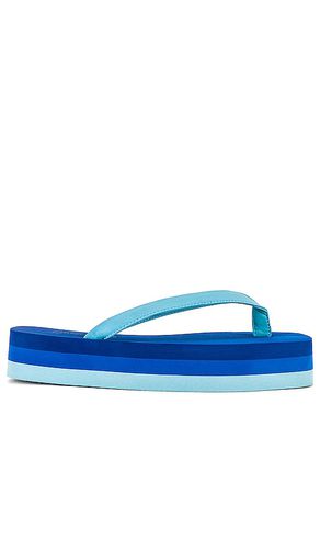 Surfin Sandal in . Size 9 - Jeffrey Campbell - Modalova
