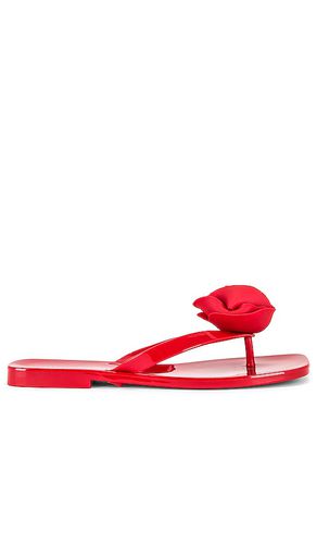 So Sweet Sandal in . Size 7, 8 - Jeffrey Campbell - Modalova