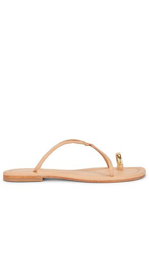 Pacifico Sandal in . Size 6, 7, 9 - Jeffrey Campbell - Modalova