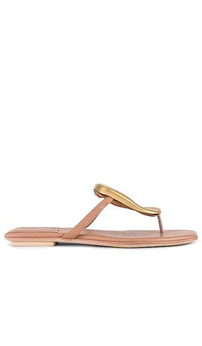 Linques-2 Sandal in . Taglia 6 - Jeffrey Campbell - Modalova