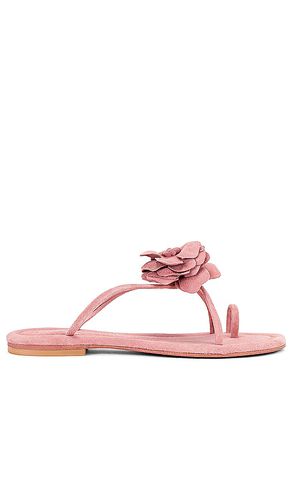 Tropico Sandal in . Size 6 - Jeffrey Campbell - Modalova