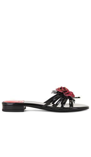 Sandalia enchanted en color negro talla 6 en - Black. Talla 6 (también en 6.5, 7.5, 8.5, 9.5) - Jeffrey Campbell - Modalova