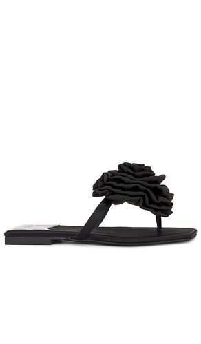 Sandalia perennial en color negro talla 10 en - Black. Talla 10 (también en 6, 6.5, 7, 7.5, 8, 8.5, 9, 9 - Jeffrey Campbell - Modalova