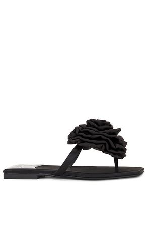 Sandalia perennial en color negro talla 10 en - Black. Talla 10 (también en 6, 6.5, 7, 7.5, 8, 8.5) - Jeffrey Campbell - Modalova