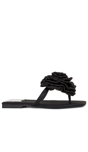 Sandalia perennial en color negro talla 10 en - Black. Talla 10 (también en 6, 7.5, 8) - Jeffrey Campbell - Modalova