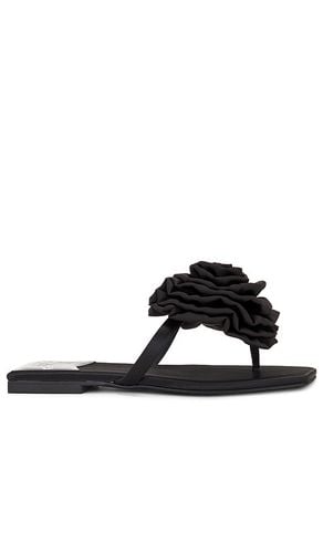 Perennial Sandal in . Size 6.5, 7, 7.5, 8, 8.5, 9.5 - Jeffrey Campbell - Modalova