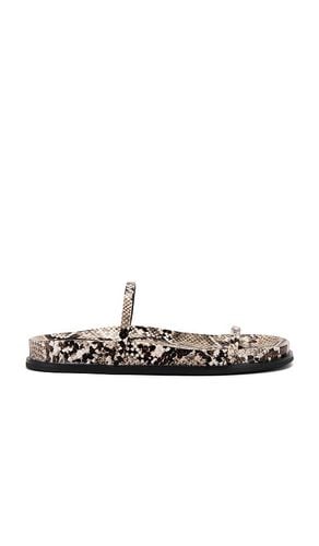 De Milo Sandal in . Taglia 6, 6.5, 7.5, 8, 8.5, 9, 9.5 - Jeffrey Campbell - Modalova