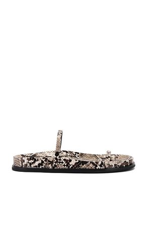 De Milo Sandal in . Taglia 6, 6.5, 7, 7.5, 8, 8.5, 9 - Jeffrey Campbell - Modalova