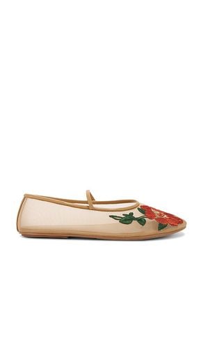 Zapato plano swan flwr en color beige talla 10 en - Beige. Talla 10 (también en 6, 6.5, 7.5, 8, 8.5, 9 - Jeffrey Campbell - Modalova