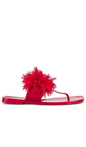 Pollinate Sandal in . Size 7, 8, 9 - Jeffrey Campbell - Modalova