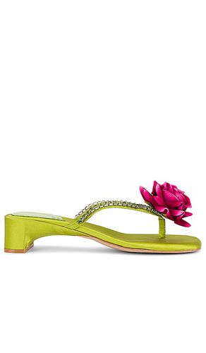 Primrose Sandal in . Size 7.5, 8, 8.5 - Jeffrey Campbell - Modalova