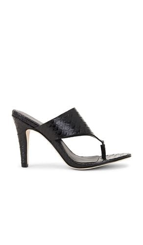 Azula Mule in . Size 6, 6.5, 7, 7.5, 8, 8.5, 9, 9.5 - Jeffrey Campbell - Modalova